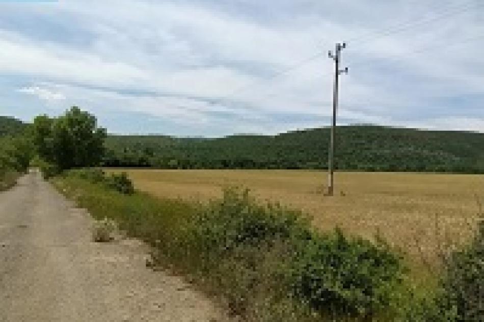 11484 sqm Plot