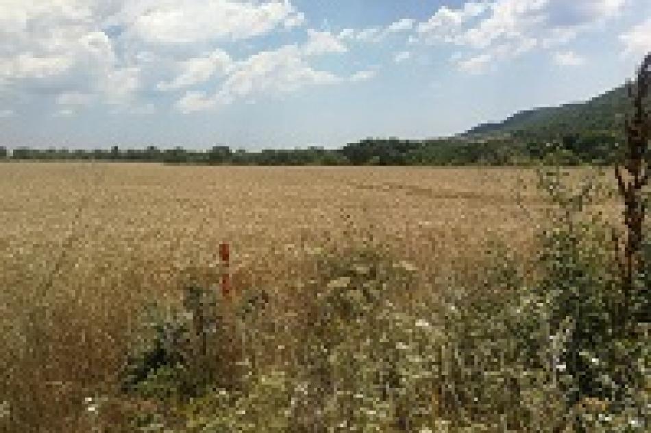 plot