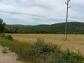 11484 sqm Plot